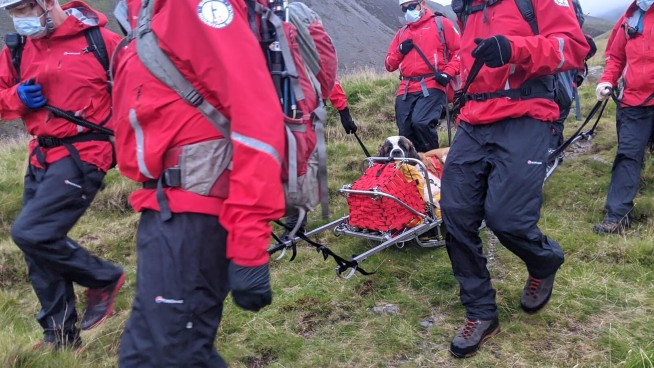 Mountain rescuers heft ailing St. Bernard off English peak