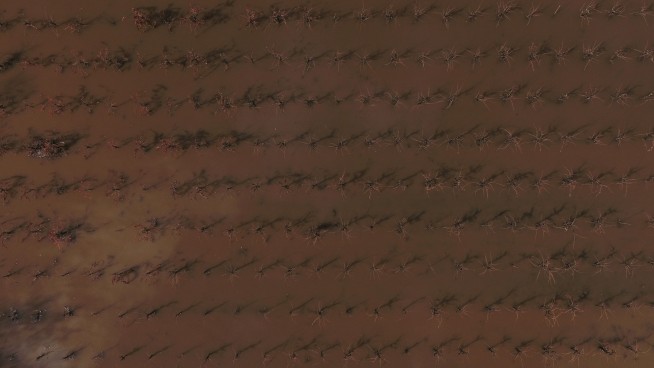 Will a winter storm hit the US over Thanksgiving week? Here's what forecasts show so far