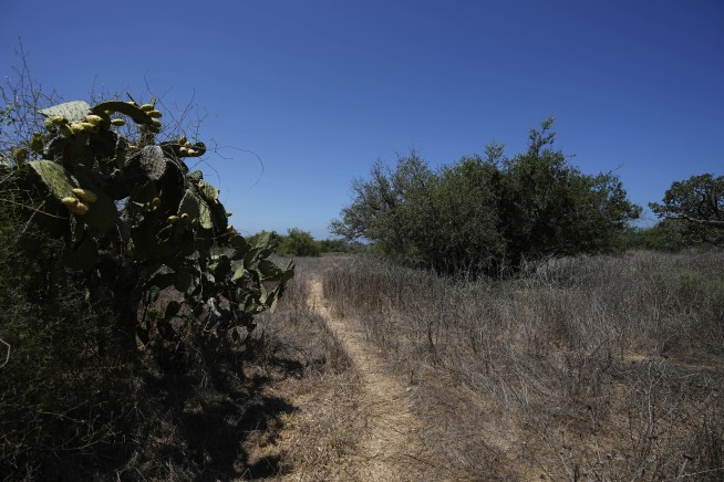 Ancient tombs with vibrant wall paintings open to public in southern Israel