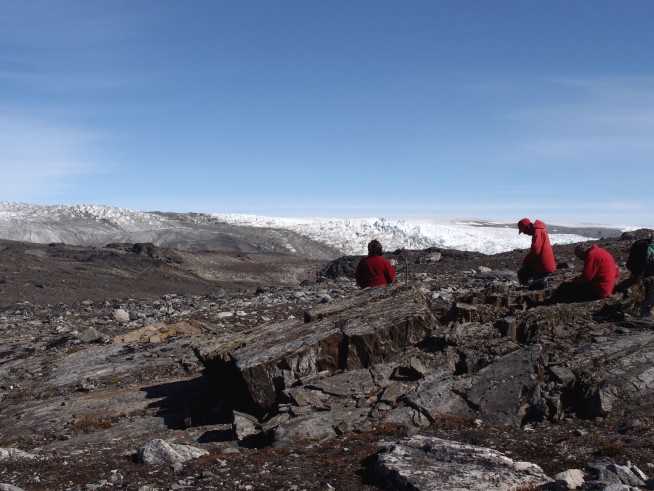 Oldest fossils on Earth? New look finds might just be rocks