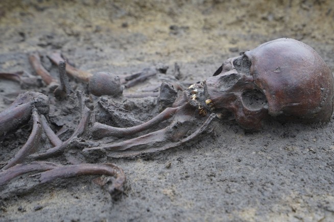 50 well-preserved Viking Age skeletons unearthed in Denmark