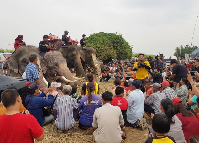 Elephants join search in Thailand for missing 2-year-old boy