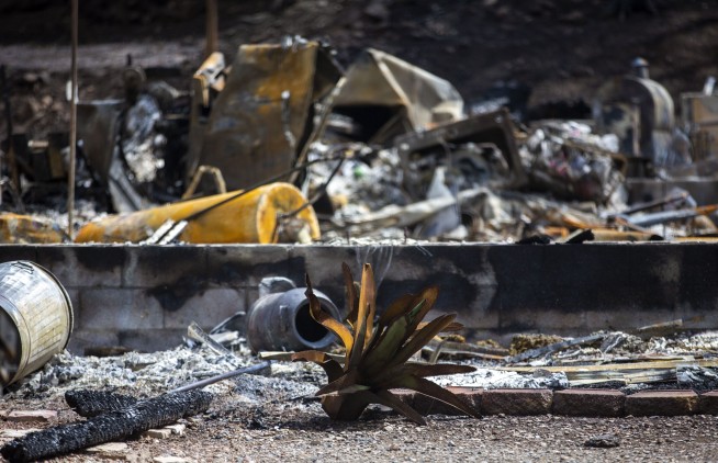 FBI offers reward for information about deadly southern New Mexico wildfires