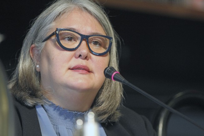 Palin nabs early lead in Alaska US House special primary