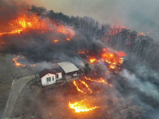 At least 24 dead as wildfires ravage southern South Korea and force thousands to evacuate