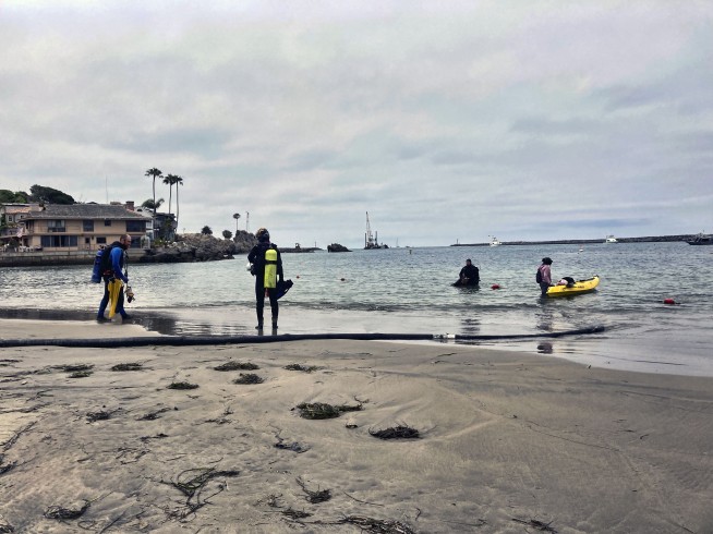 California nixing algae that crowds out food for sea animals