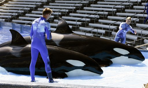 Some SeaWorld mammals survive longer in captivity