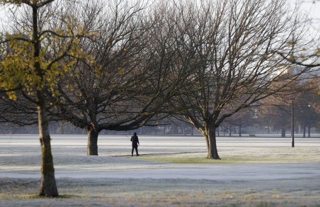 With recovery of last case, New Zealand has eradicated virus