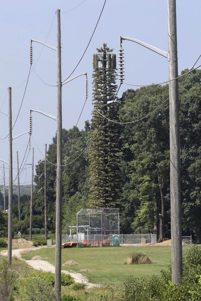Ohio cell towers camouflaged to blend in with surroundings