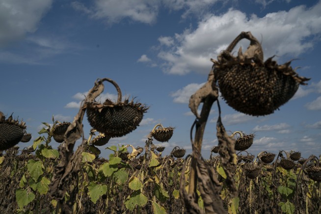 Russia announces troop pullback from Ukraine's Kharkiv area