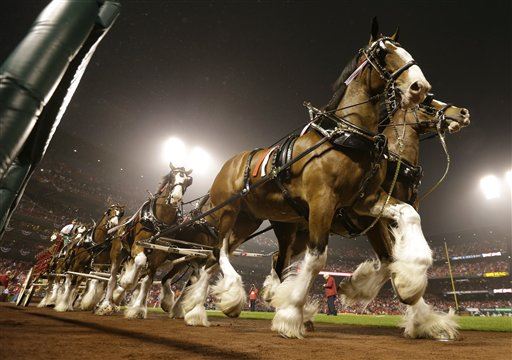 Budweiser Shift: No Clydesdales in Holiday Ads