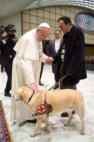 Pope Francis: Animals Can Go to Heaven