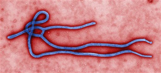 CDC: Lab Tech May Have Been Exposed to Ebola