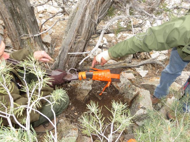 Mysterious 132-Year-Old Rifle Found in National Park