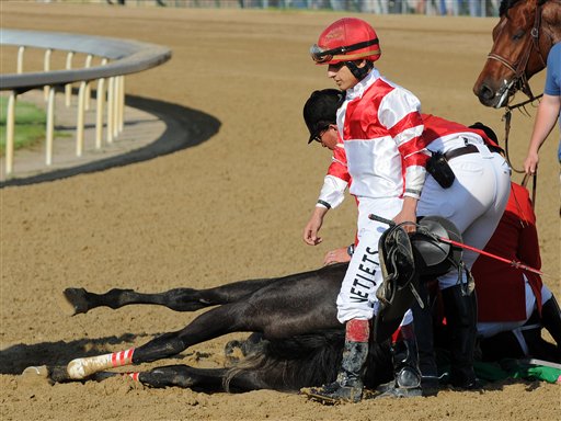 Filly Euthanized at Derby