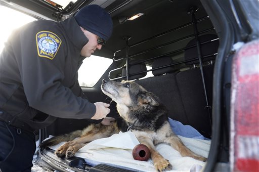 Cops Salute Beloved K-9 on His Way to Be Put Down