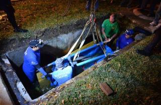 19 Manatees Saved From Fla. Storm Drain