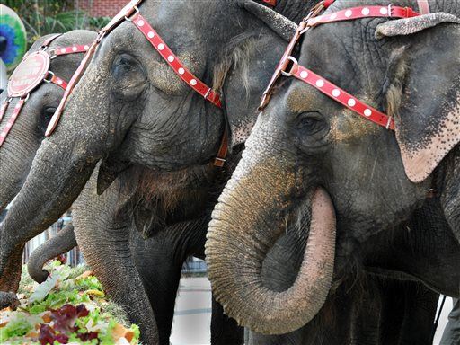 Ringling Bros.: No More Elephants at the Circus