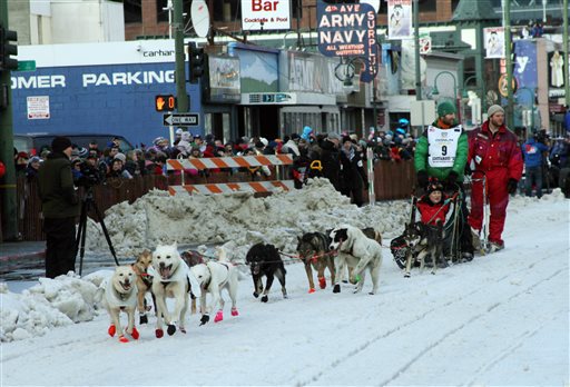 Blind Dog on Iditarod Sled Team