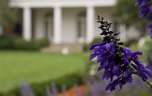 White House Florist's Exit Sprouts Rumors