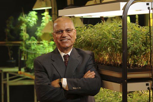 University Gets Millions to Grow Pot for the Feds