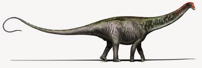 The Brontosaurus Really Did Exist, Study Says