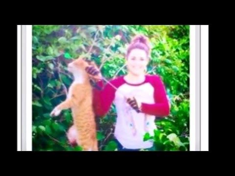 Vet Who Bragged About Cat-Killing Could Lose License