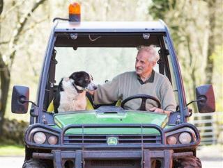 Dog's Wild Ride on Tractor Causes Traffic Jam