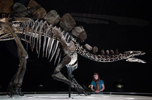 Researcher Says He's First to Tell Male, Female Dinos Apart