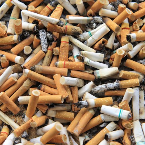 Our Cigarette-Butt Litter Is Staggering
