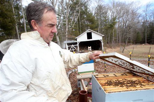 Bee Die-Off Goes From Bad to Worse