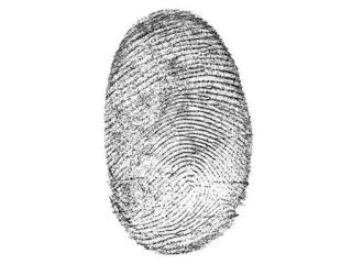 Your Fingerprint Can Reveal Drug Use