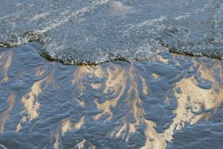 'This Is a Disaster': Oil Spill Fouls California Beaches