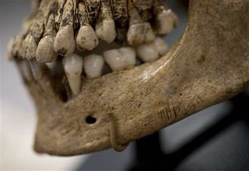 Archaeologists Learn How Cannibals Prepared Flesh