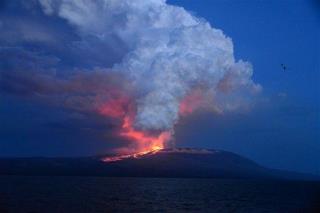 Galapagos Volcano Erupts, Threatens Rare Iguanas
