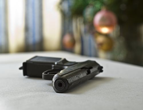3-Year-Old Kills Self With Gun in Mom's Purse