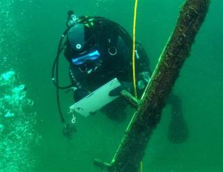 Archaeologists: Shipwreck Isn't Long-Sought Griffin