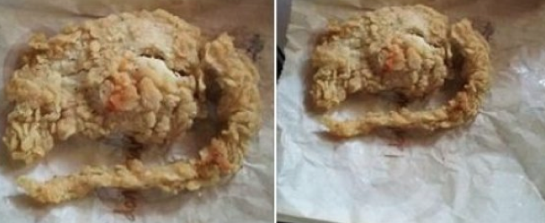 DNA Test Results Are In for KFC 'Deep-Fried Rat'