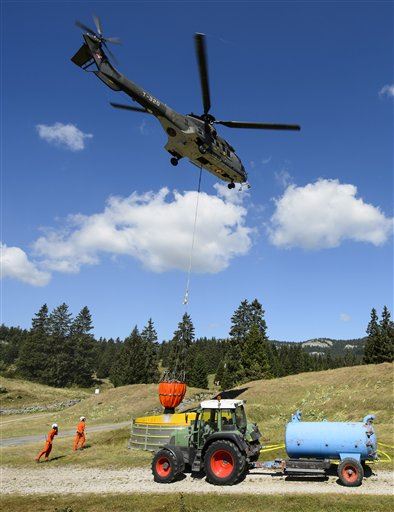 Swiss Army Deploys —to Spare the Beef