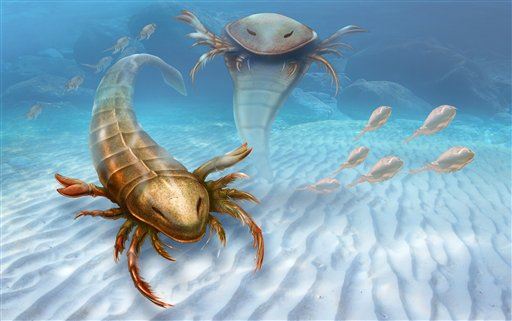 First Big Predator Was 'Angry' Water Bug