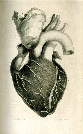 Your Heart Is Probably Older Than You Are