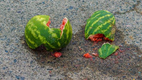 Watermelon Vandals Cause Big Damage to Drivers
