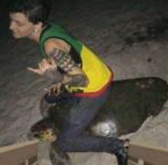 Woman Arrested for Allegedly Riding Sea Turtle