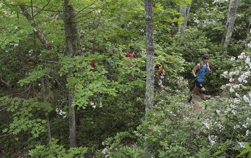 Appalachian Trail Hiker Dies After Fall From Rock