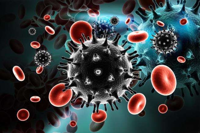 Promising New HIV Vaccine Heads to Human Trials