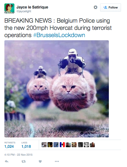 Belgians React to Raids With Twitterstorm of Cats