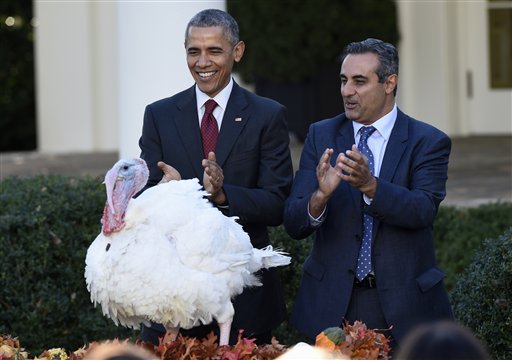 Obama Pardons 'Abe' the Turkey, and the Chinese ... Gloat