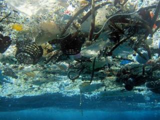 By 2050, Our Oceans Will Hold More Plastic Than Fish