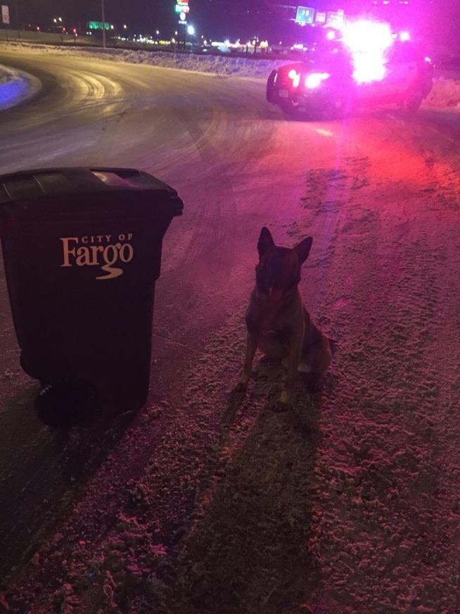 Police Dog Finds Suspect Hiding in Garbage Can