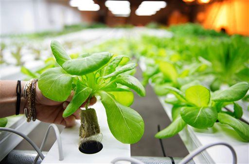 Japan's Farm of Future Will Be Run by Robots